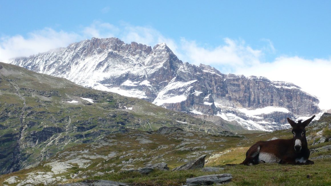 lac blanc