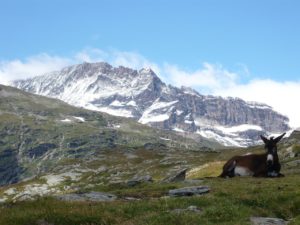 lac blanc