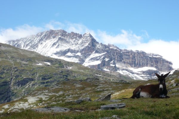 Les délices de la Savoie avec une randonnée au Lac Blanc !