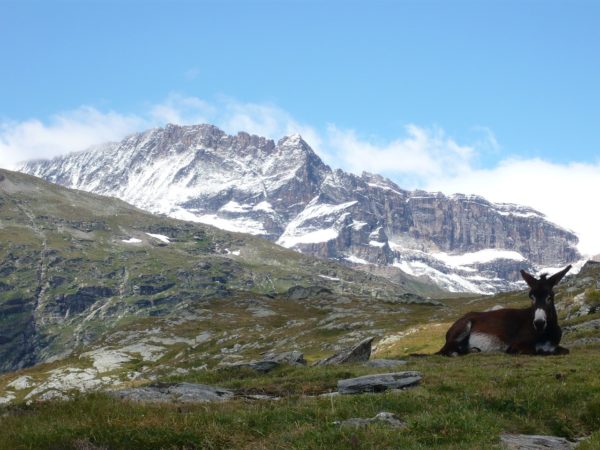 Les délices de la Savoie avec une randonnée au Lac Blanc !