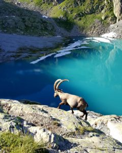 le lac blanc