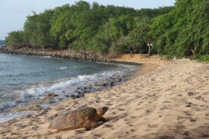 guadeloupe