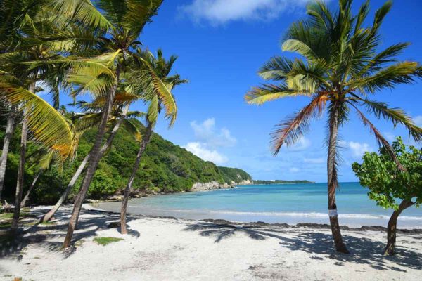 Comment se loger en Guadeloupe ?