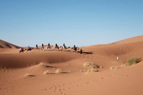 Marrakech en famille : 5 activités à faire avec vos enfants