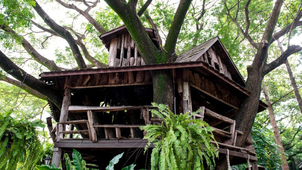 détente insolite en forêt