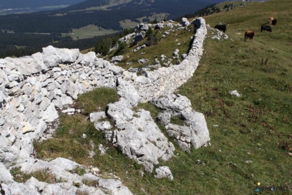Escapades rurales franco-belges : les plus beaux coins à explorer !