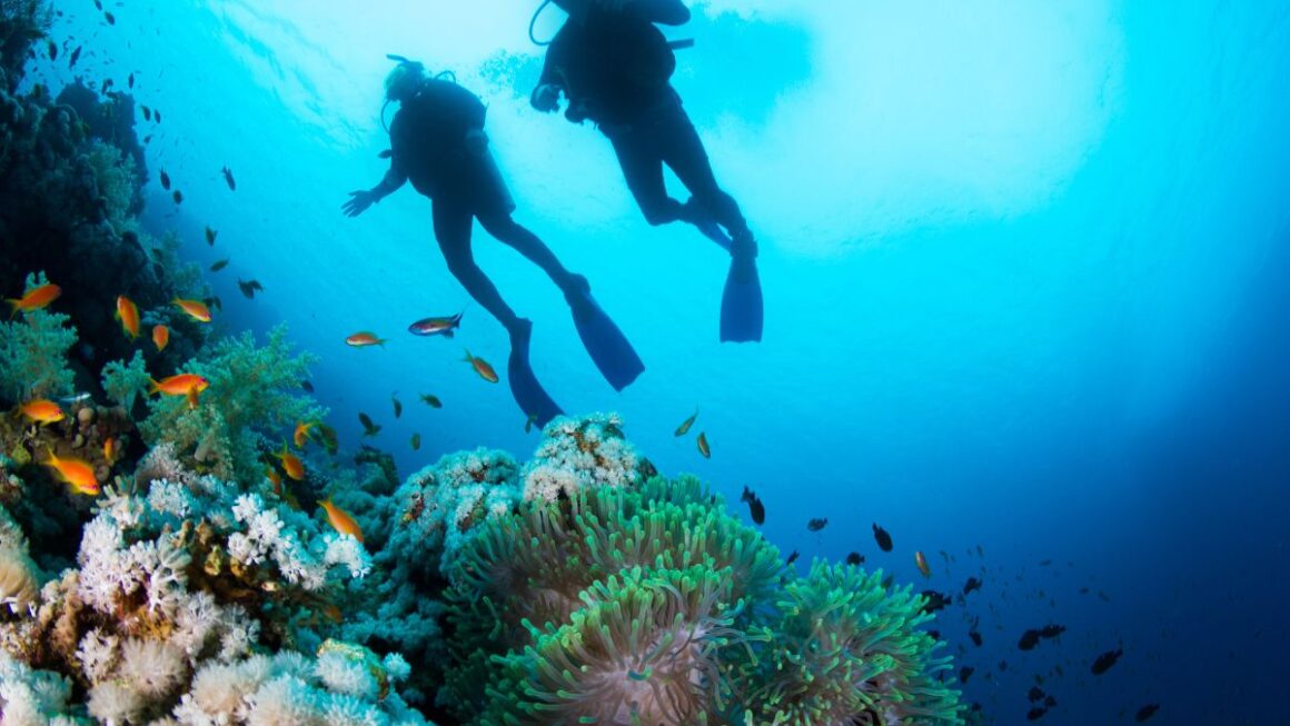 meilleurs spots snorkeling