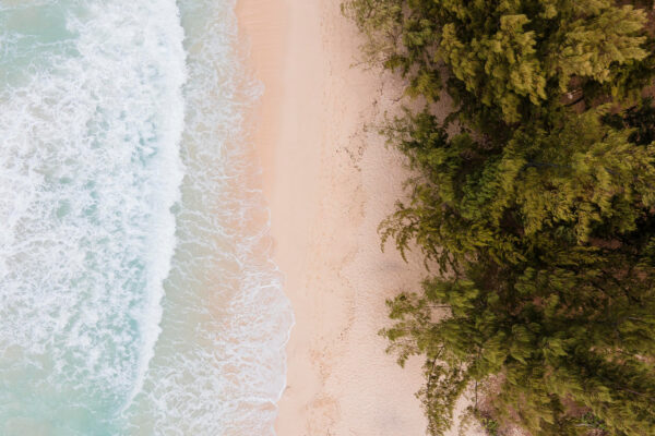 Comment organiser un voyage en Martinique sans mauvaise surprise ?
