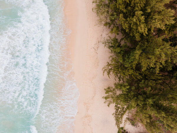 Comment organiser un voyage en Martinique sans mauvaise surprise ?